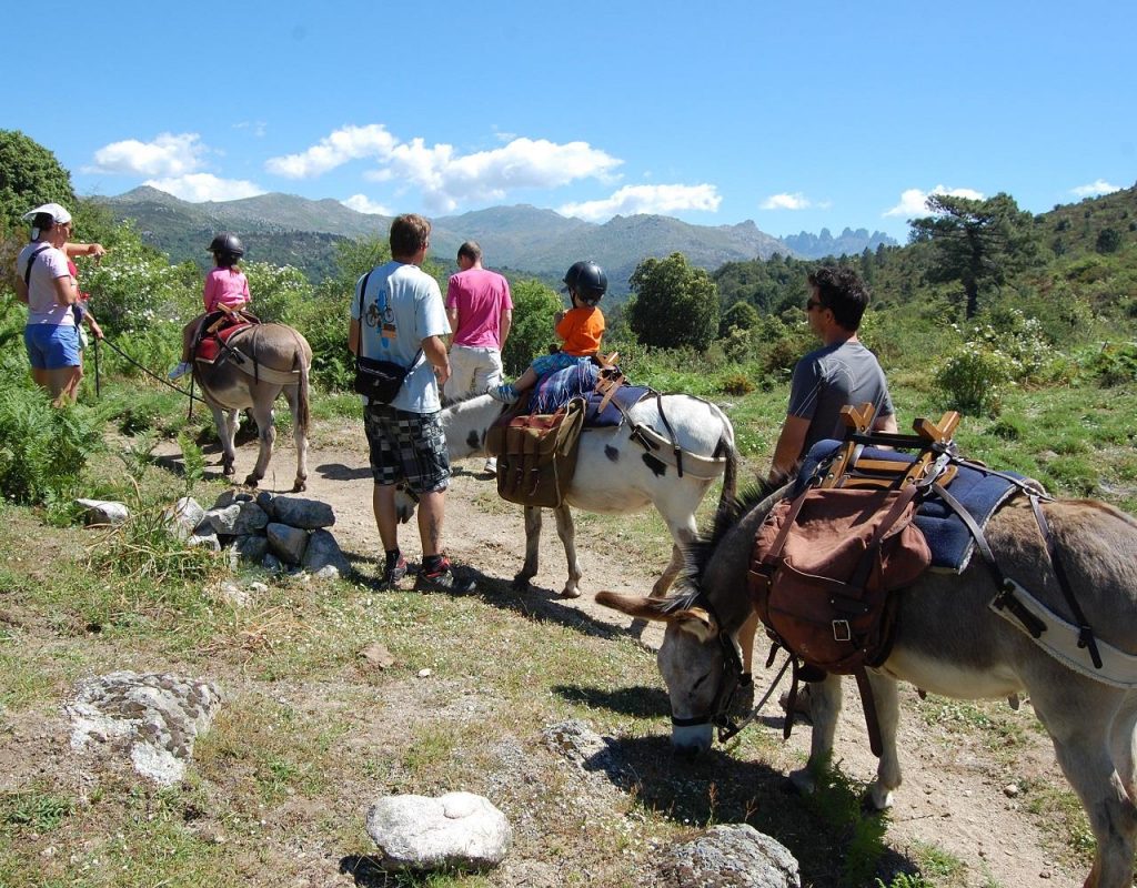 6-alta-rocc-anes-balade-corse